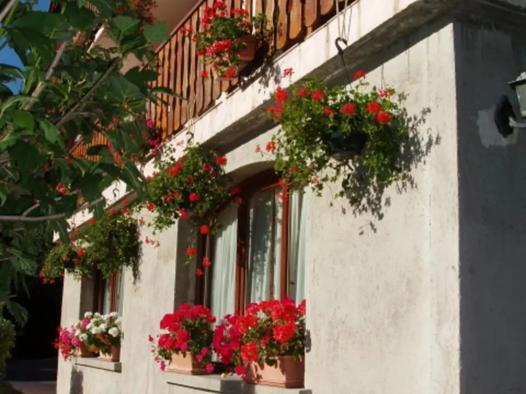 Charmant 3 pièces pour 6 personnes avec jardin, animaux admis - FR-1-263-172