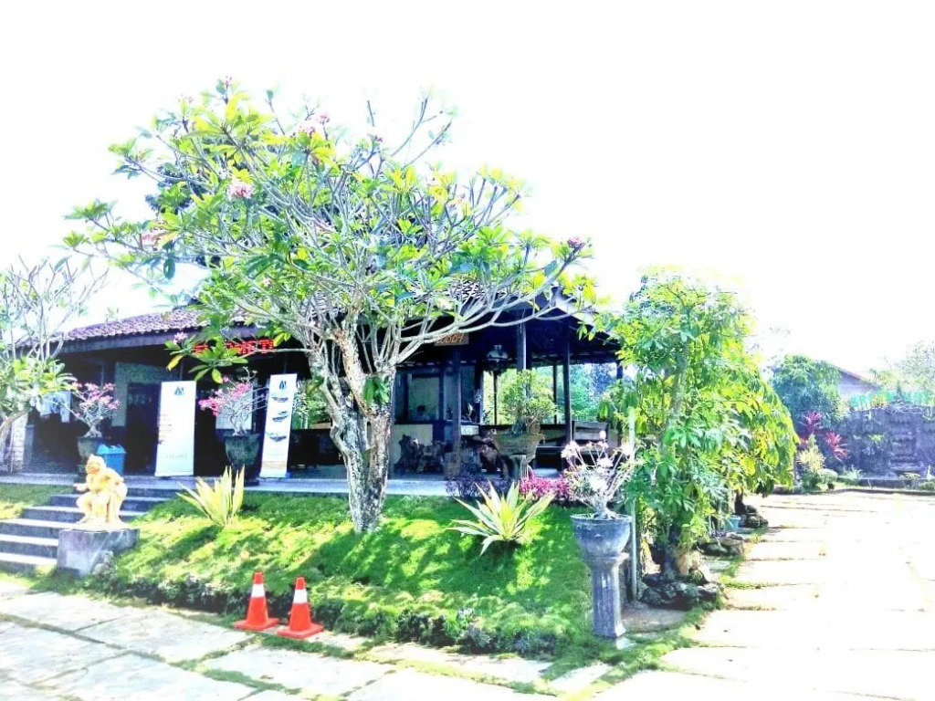 Azana Green Resort Pracimantoro