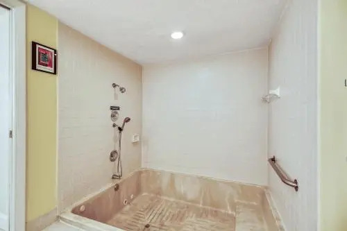 Papaya Place Condo