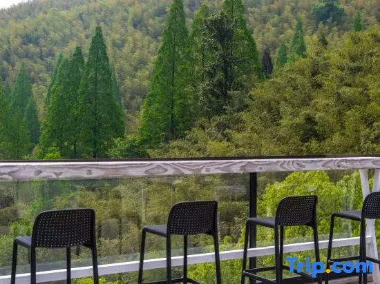Moganshan Flowing Water Shadow Falling Homestay
