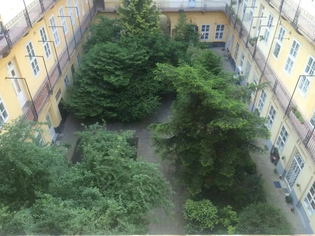 Judit Apartman