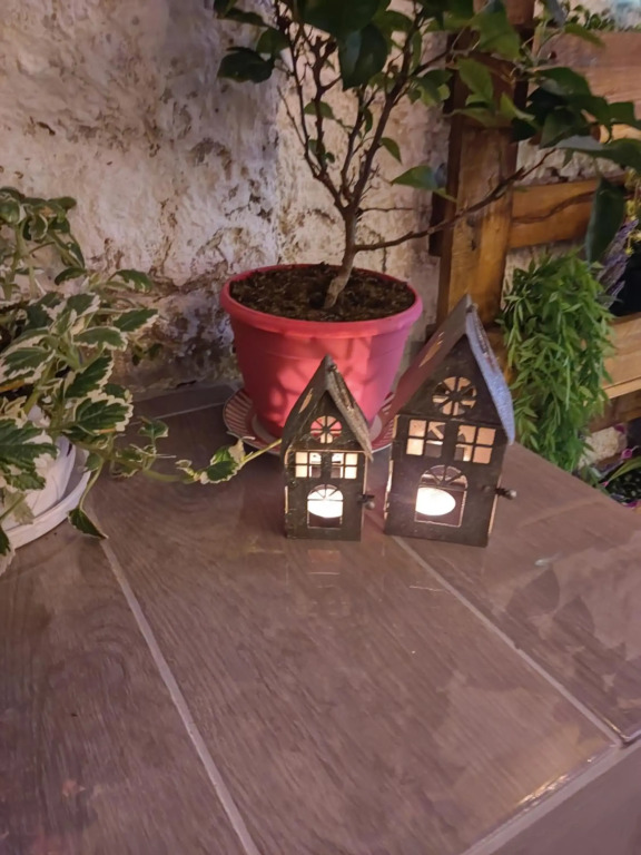 Secret Garden House