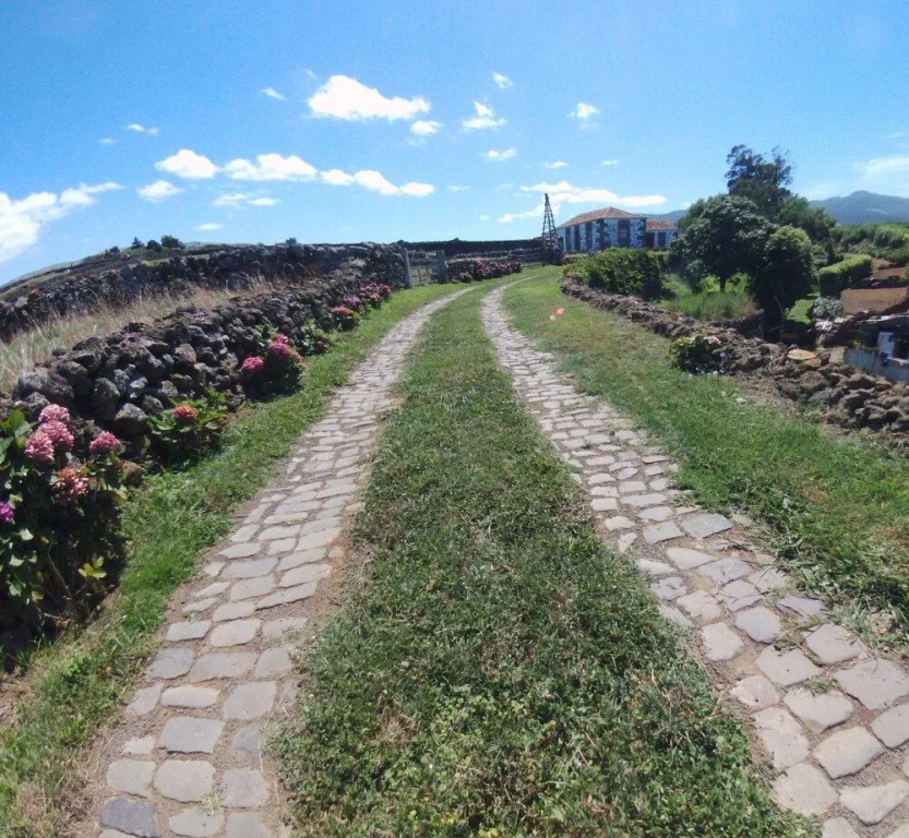 Quinta de São Braz