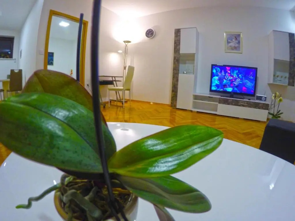 Apartmani Oletić 4*