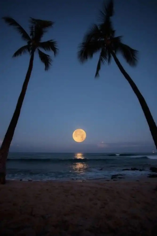 Hawaii's Hidden Hideaway Bed & Breakfast