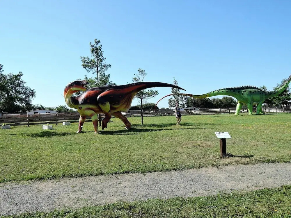 Bungalows in Wrzosowo - Bird's Cage Resort for 2 Persons
