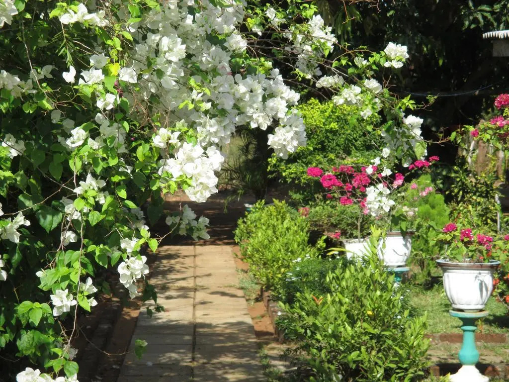 Village Garden Inn
