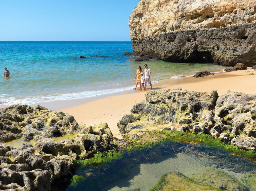 Vila Alba Resort