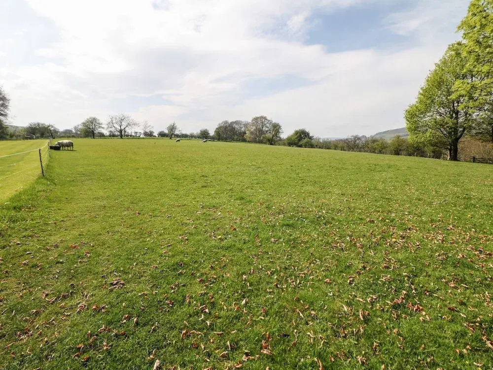Loose Hill Lea