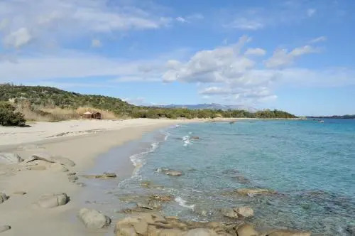 La Pavoncella