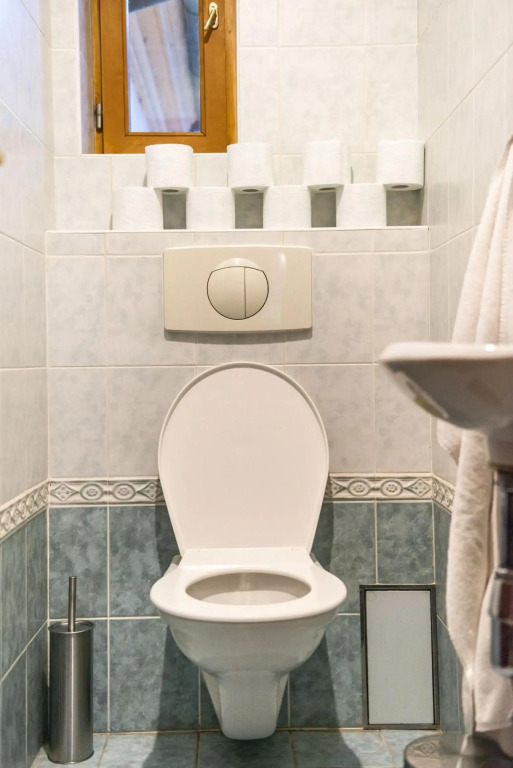 Spacious and Quiet Attic Flat in Centre