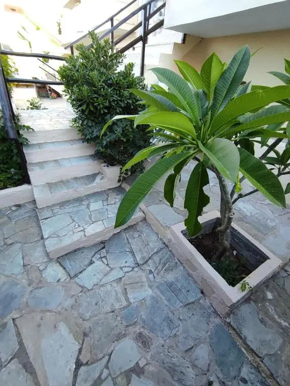 Dedalos n2 Mountain View apartment-30 metres from the beach