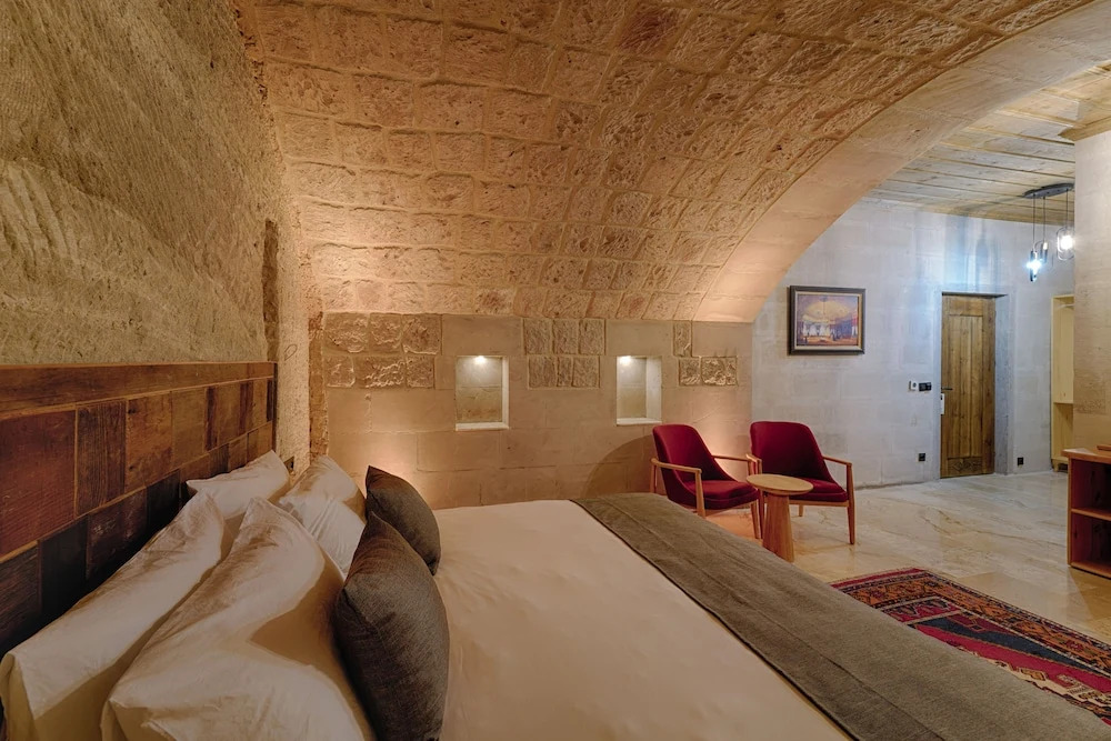 Concept Cave House
