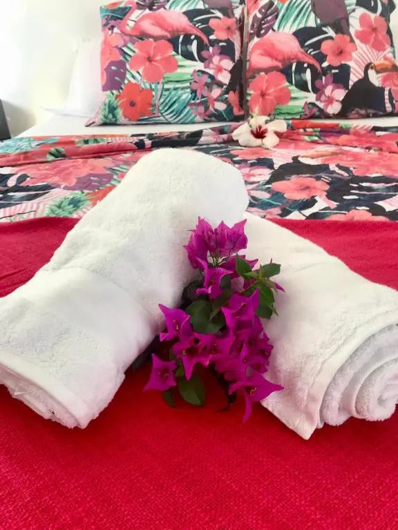 Bel appartement privé, magnifique vue sur la mer des Caraibes et jardin clos, WiFi, à 2mn de la plage
