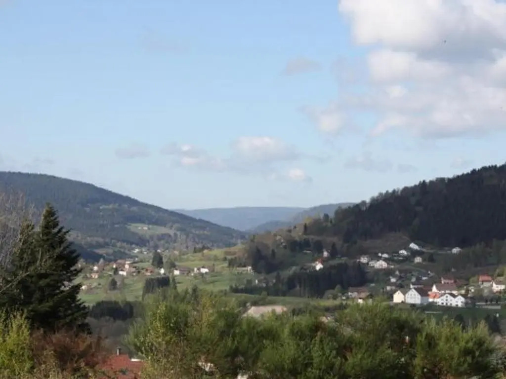 Gîte neuf au calme près de Gérardmer avec terrasse et balades en forêt - FR-1-589-217
