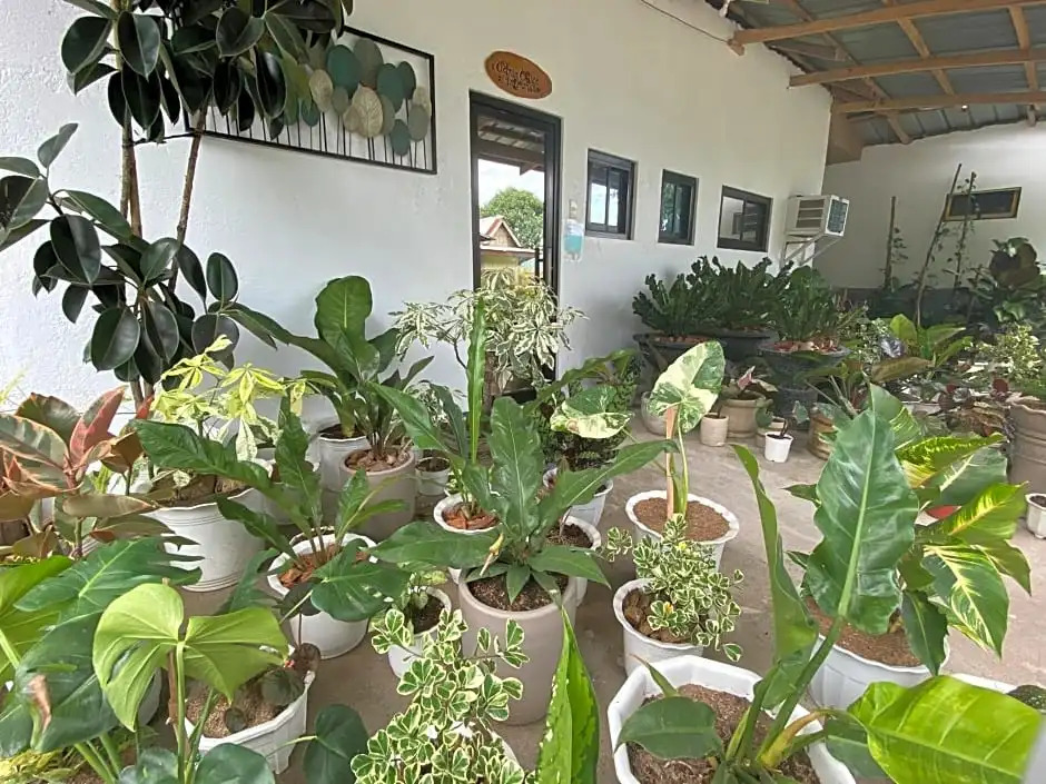 Severina's Garden Resort by Cocotel