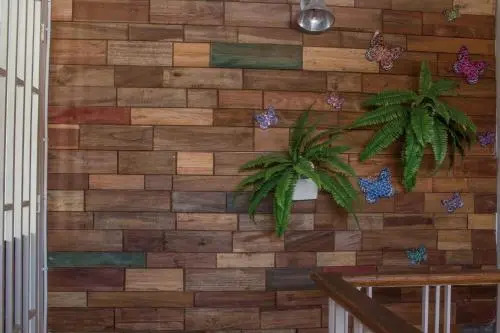 Butterfly Hostel