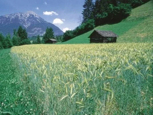 Banders Landhaus