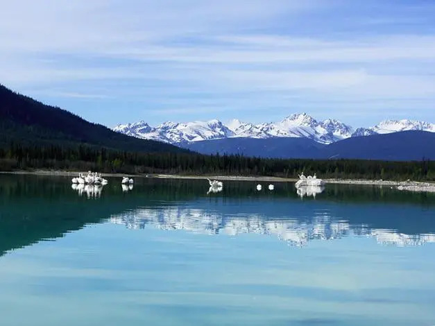 Eagle Bear Lodge