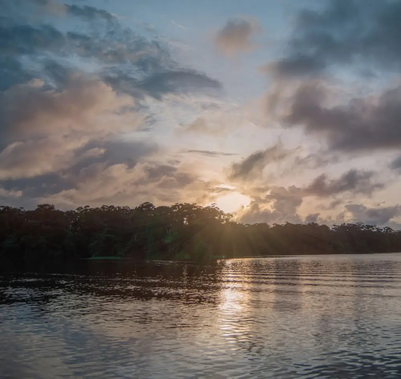 El Deseo Serendipity Tortuguero