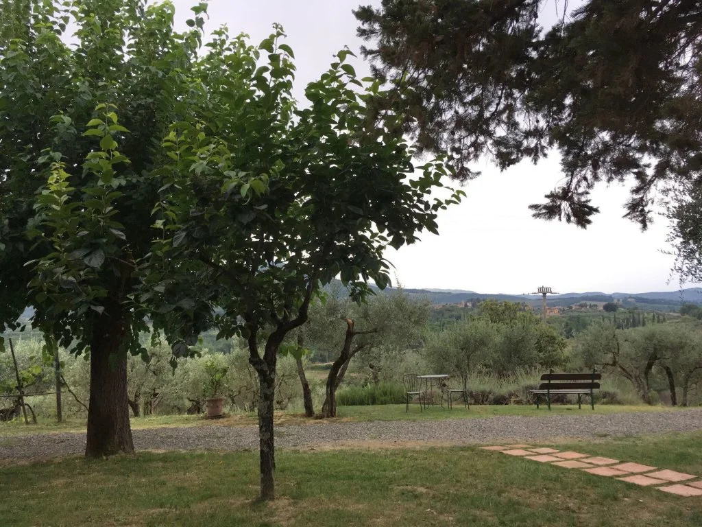 B&B Solaia