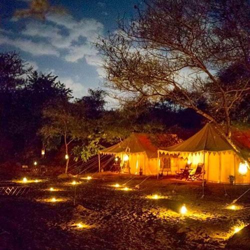 Dera Amer Wilderness Camp, Jaipur Image 0