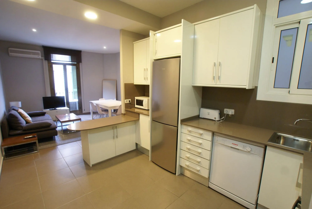 555 Apartments BCN