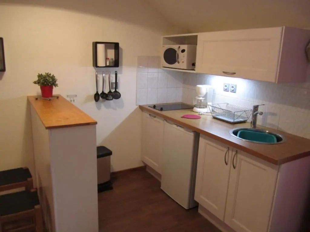 Appartement Brides-les-Bains, 1 pièce, 4 personnes - FR-1-512-135