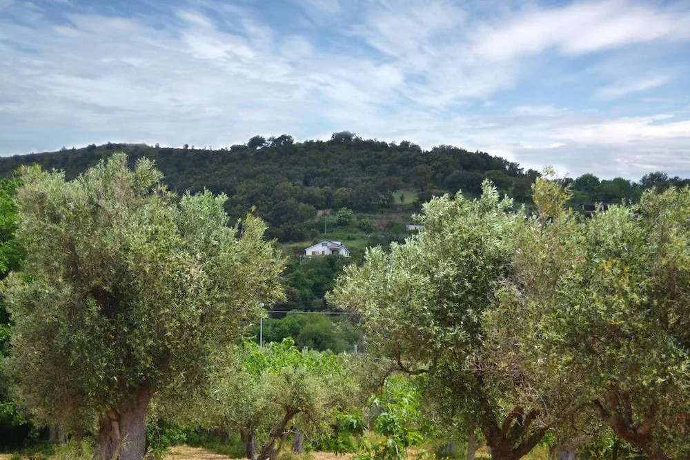 B&B Finestra sul Golfo