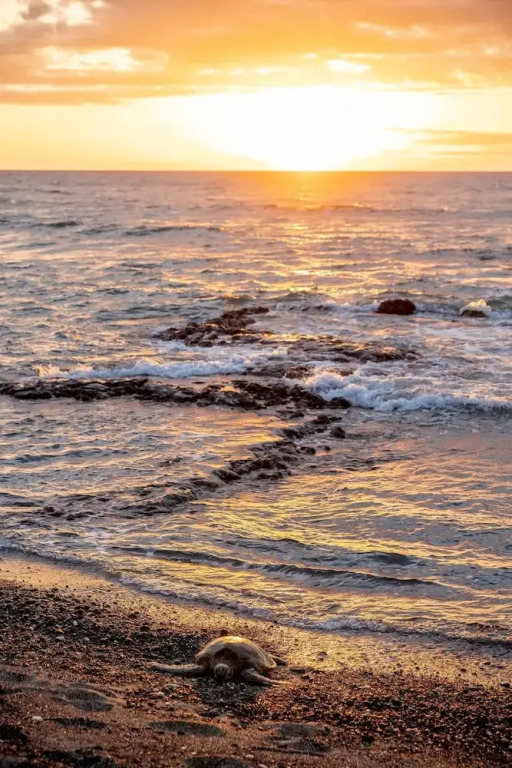 Sandy Toes Getaway in Kona