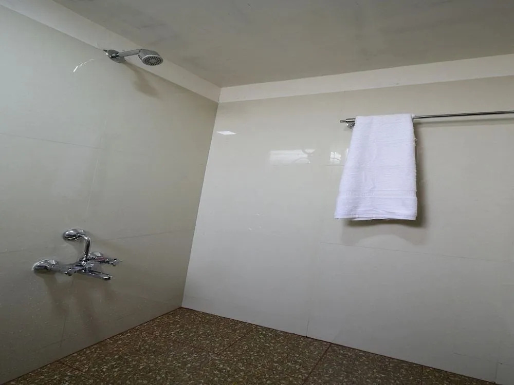 OYO 18487 V Wella Inn