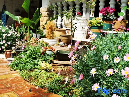 Wuchuan Dongshan Private Language Homestay