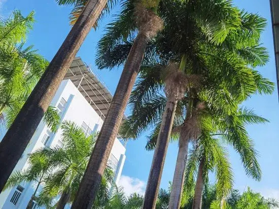 Long Rui Hotel