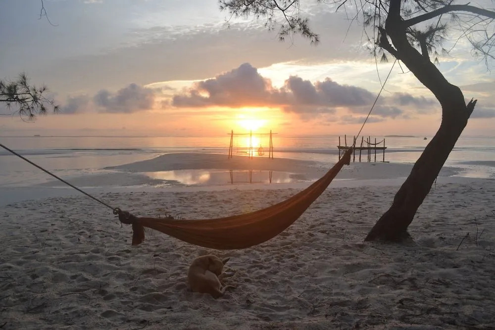 Driftwood Hostel and Bungalows