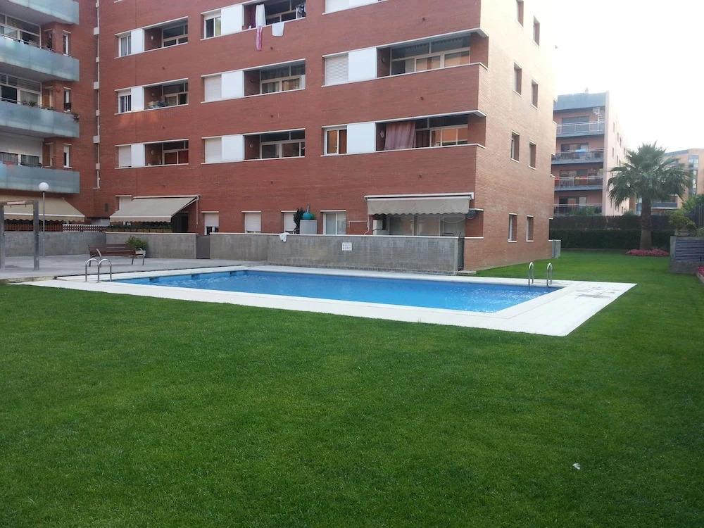 Olmo