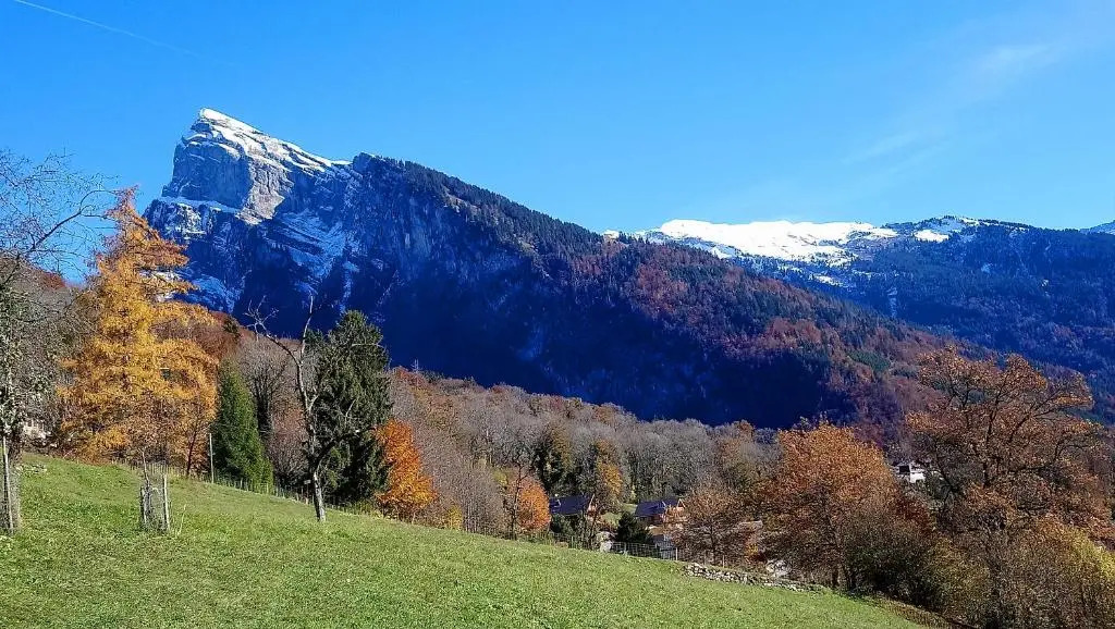 Chalet des fleurs