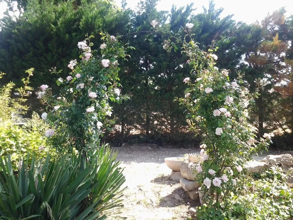 Aux Roses de lEtang