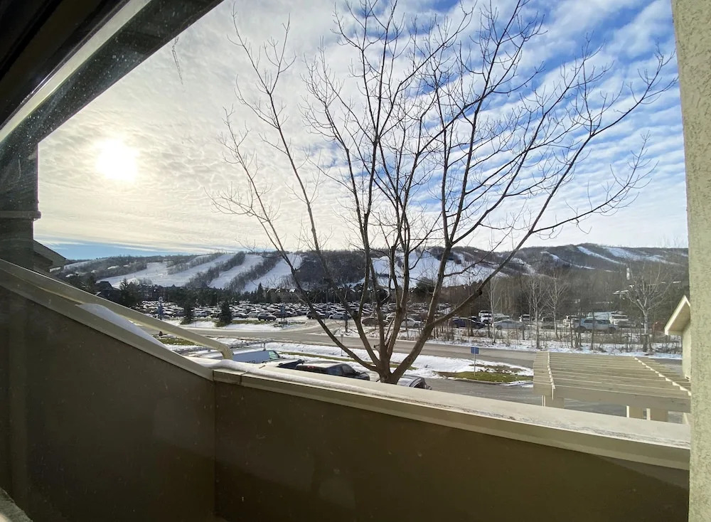 Wintergreen Condos