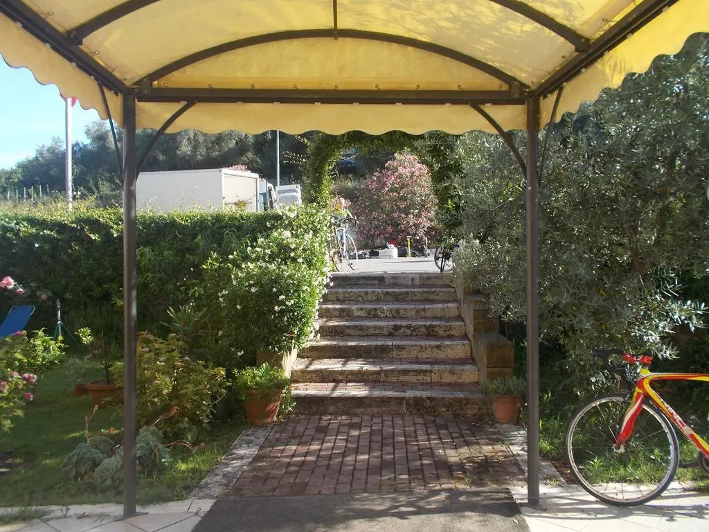 Il Borgonuovo