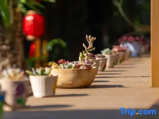 Lijiang Chanqi Holiday Courtyard Inn