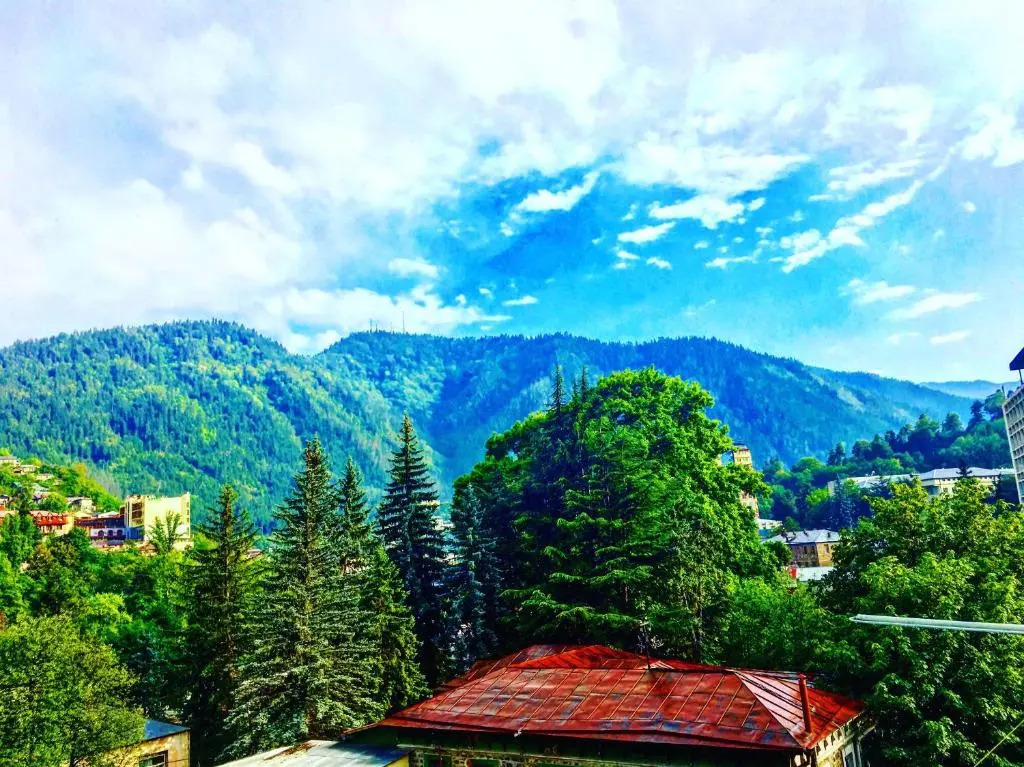 Apartment Borjomi