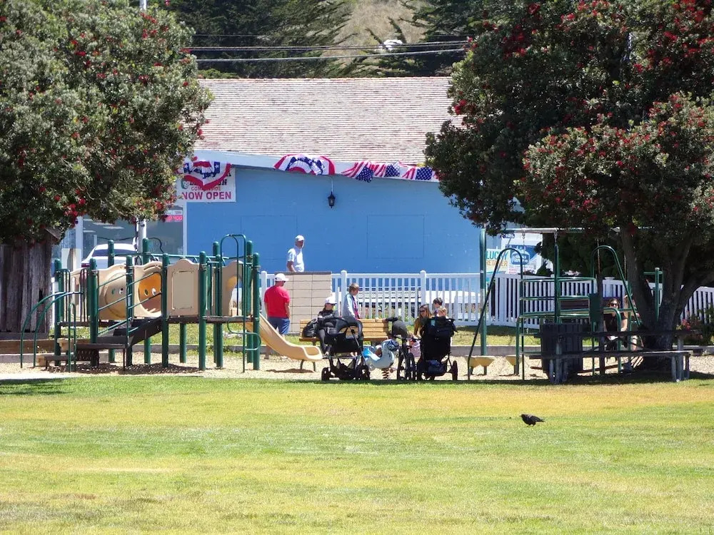Cypress Tree Motel