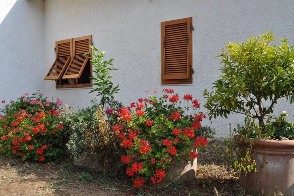 House With 3 Bedrooms in Lacona, With Furnished Terrace - 100 m From t