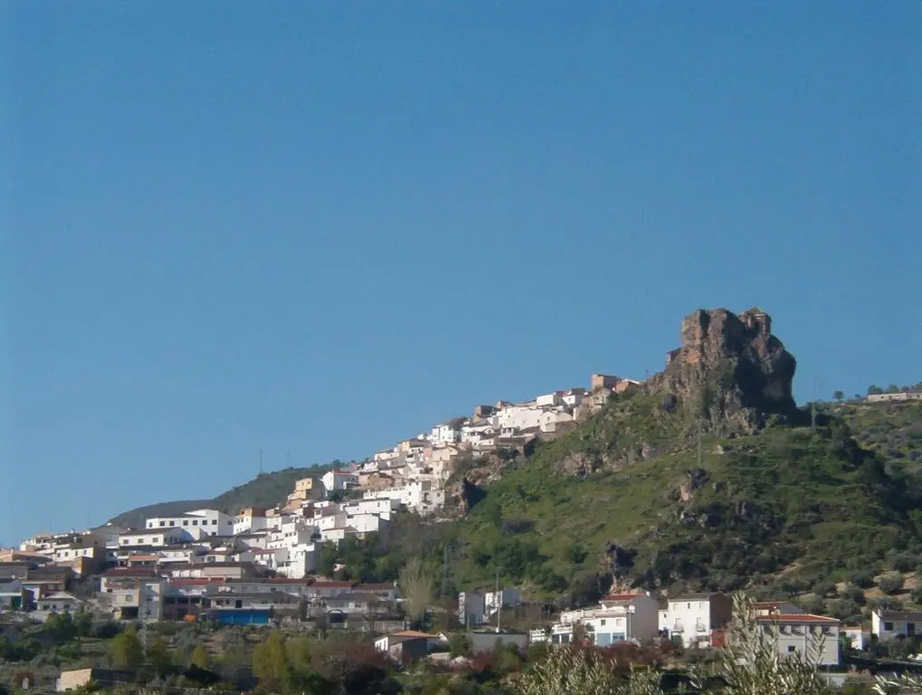 Columbaira