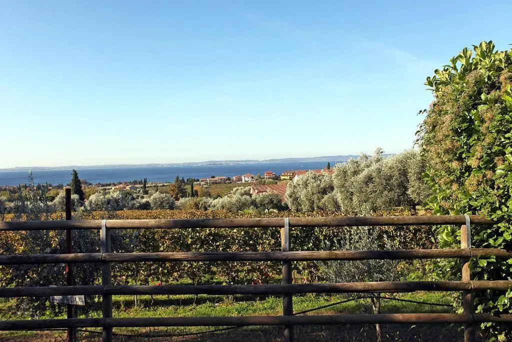 Appartamenti Bellavista