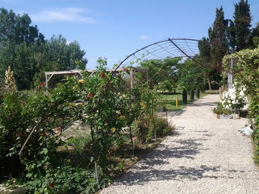 Aux Roses de lEtang