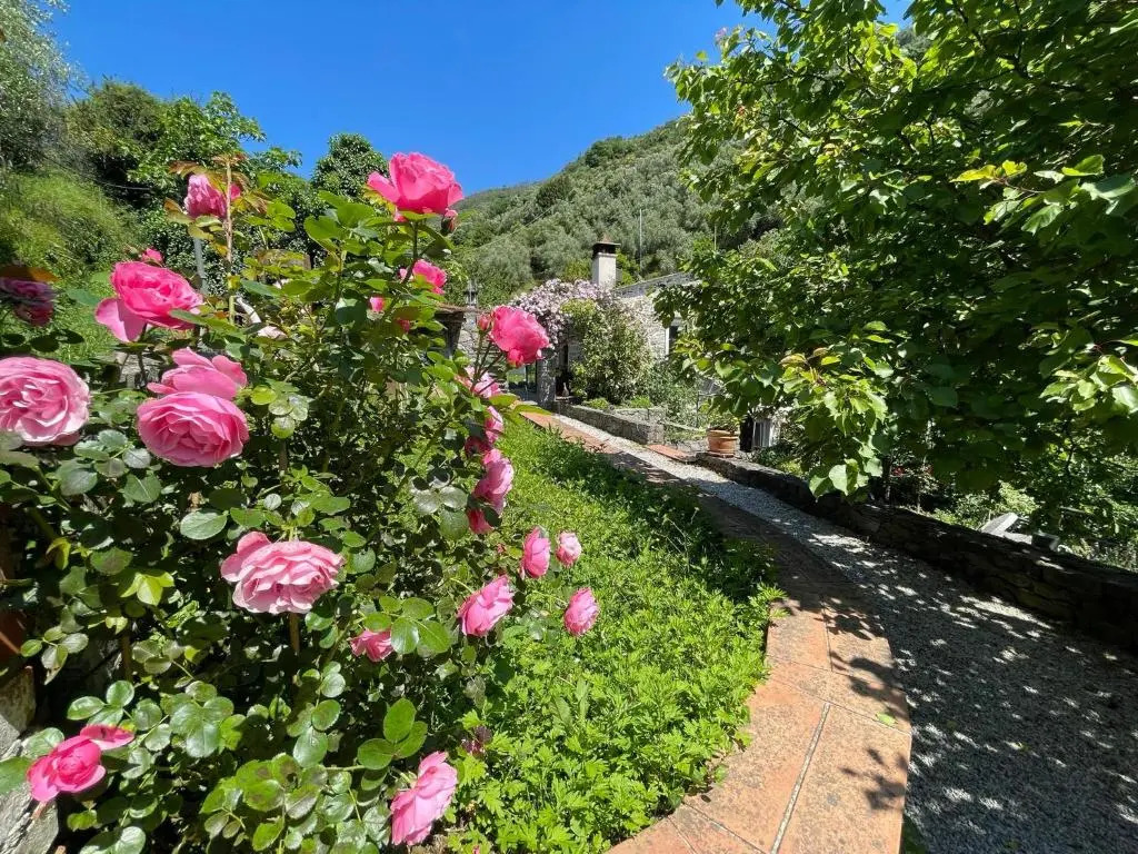 Il frantoio di Luna - Levanto, 5 Terre