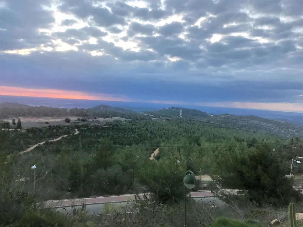 Dreams on the mount