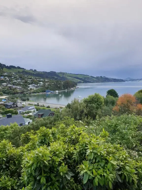Tui2 Macandrew Bay