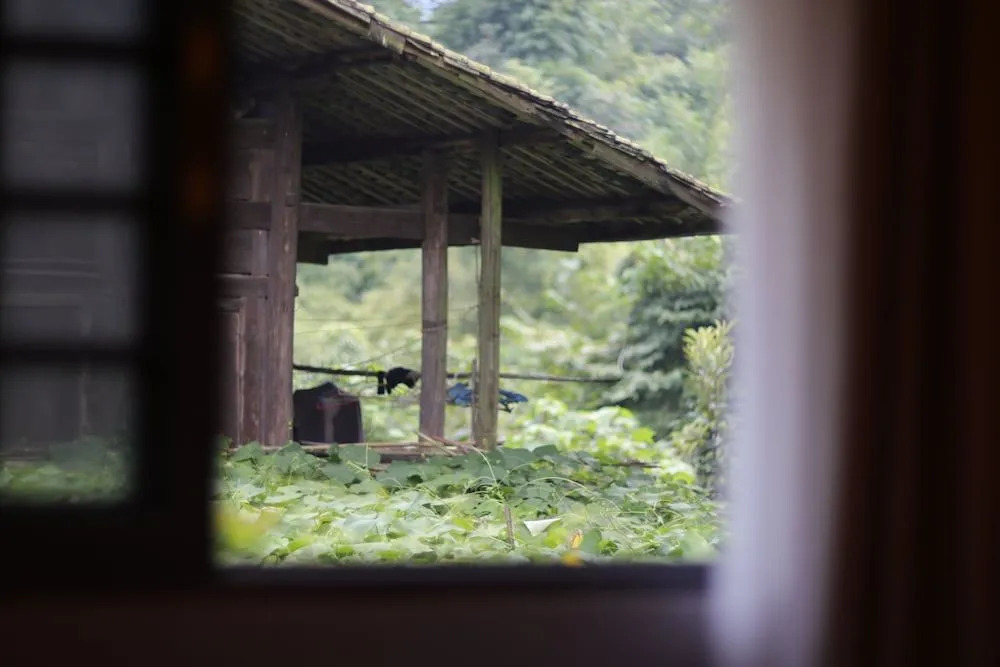 Qing Dynasty House